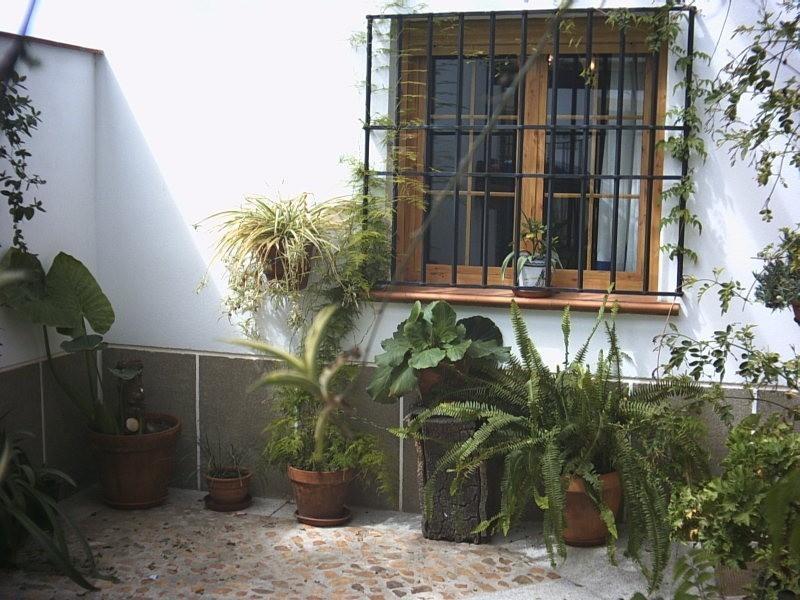 Casa Rural La Brena Talaván 外观 照片