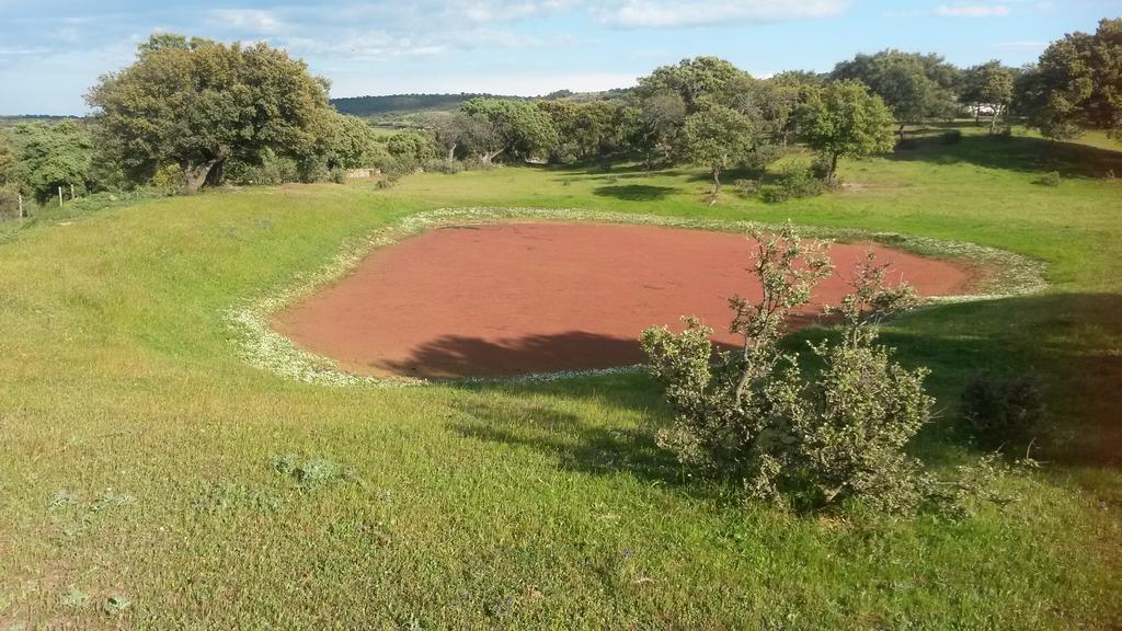 Talaván Casa Rural La Brena旅馆 外观 照片